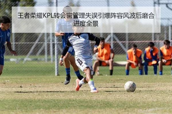 王者荣耀KPL转会窗管理失误引爆阵容风波后磨合进度全景